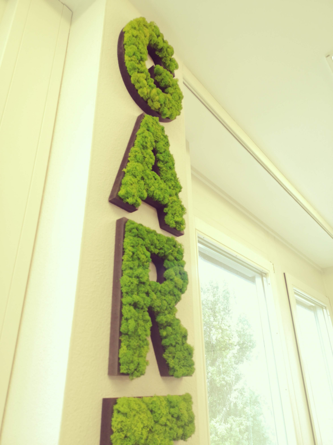 Moss Letters ist ein Unternehmen, das individuelle, handgefertigte Buchstaben aus Moos herstellt.