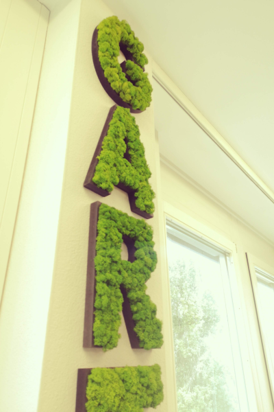 Moss Letters ist ein Unternehmen, das individuelle, handgefertigte Buchstaben aus Moos herstellt.